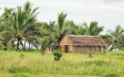 Apoyo a siete cadenas de valor agrícolas para el proyecto CASEF – Madagascar