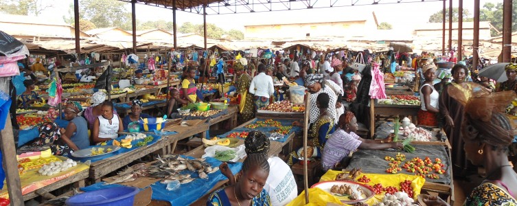 Market Survey for Simfer SA – Guinea