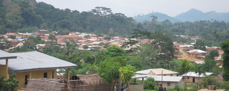 Influx management plan for Bhp-Newmont – Guinea