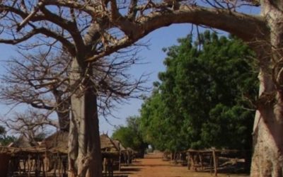 Elaboration d’un Cadre de Gestion Environnemental et Social pour l’AFD – Sénégal