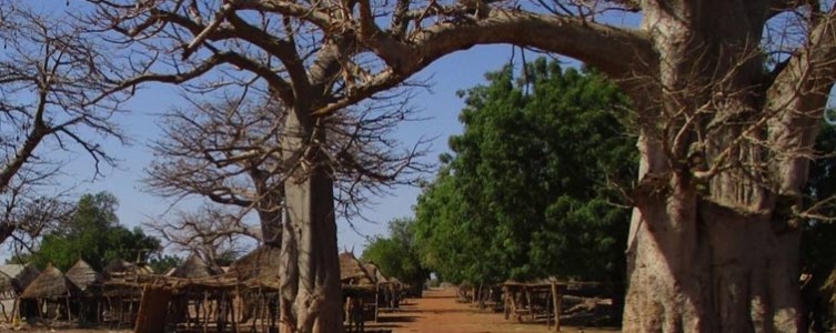 Elaboration d’un Cadre de Gestion Environnemental et Social pour l’AFD – Sénégal