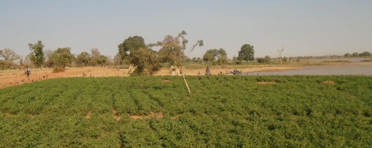 Estudios sociales para un proyecto de riego – Níger