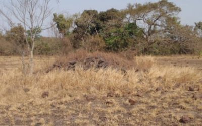 Línea de base social para un proyecto de área protegida – Guinea
