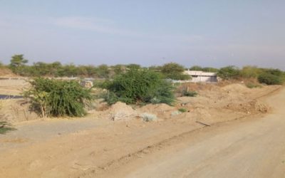 Environmental and Social Impact Assessment for an agro-photovoltaic project – Djibouti