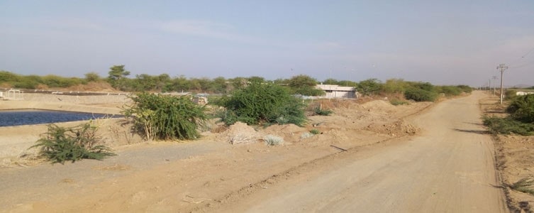 Etude d’Impact Environnemental et Social pour un projet agro-photovoltaïque – Djibouti