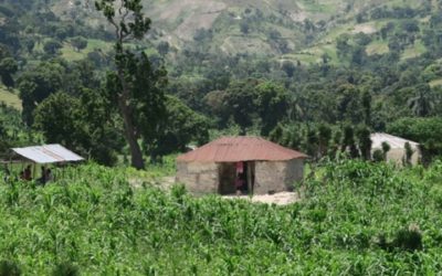 Estudio sobre las relaciones entre la tenencia y el uso de la tierra – Haití
