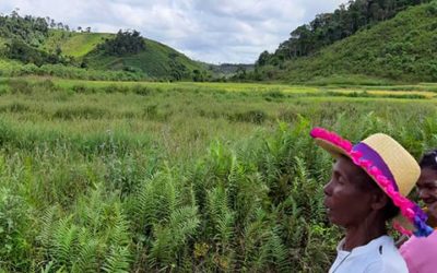 Debida diligencia sobre los aspectos sociales de un proyecto minero – Madagascar