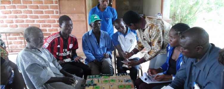 Diagnostic et planification REDD+ pour le PIF – Burkina Faso