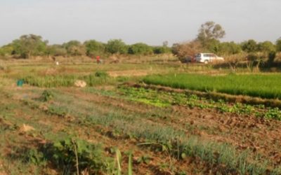 Directory of hydro-agricultural developments – Burkina Faso