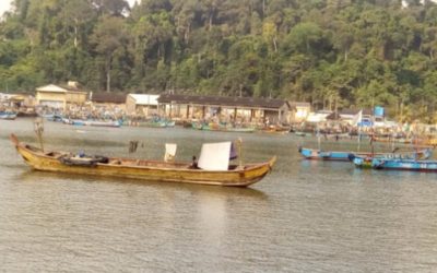 Plan de Gestión de los Grupos de Interés y EIS para una terminal portuaria en San-Pédro – Costa de Marfil