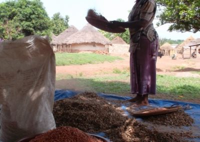 Supply chain study for Copeol – Guinea