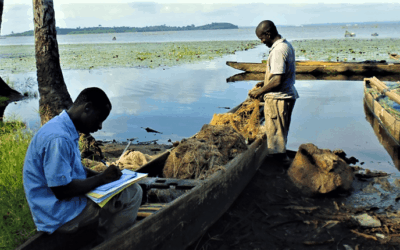 Estudio del impacto de la central térmica de Atinkou – Costa de Marfil