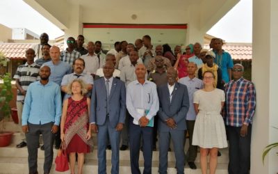 Insuco et la FAO Djibouti ont co-organisé un atelier de restitution d’une étude menée sur le secteur agricole djiboutien