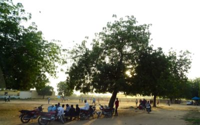 EIS de un proyecto de infraestructura urbana para Setec Organisation – Chad