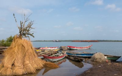 EAE de las infraestructuras en la zona costera de Guinea para PRCM/BGEEE – Guinea