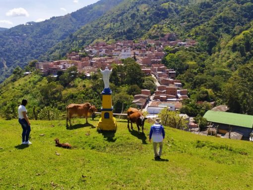 Programa Higabra Emprende para Continental Gold – Colombia