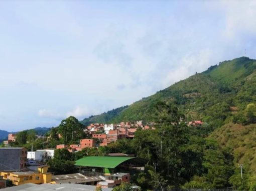 Feasibility study for Continental Gold – Colombia