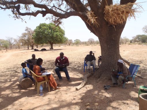 Diagnóstico de la tierra para Cajou Espoir – Togo