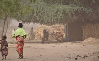 Proyecto Resilac – Chad, Camerún, Níger, Nigeria