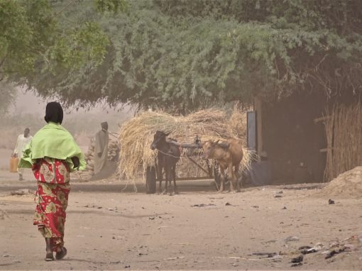 Projet Resilac – Tchad, Cameroun, Niger, Nigeria