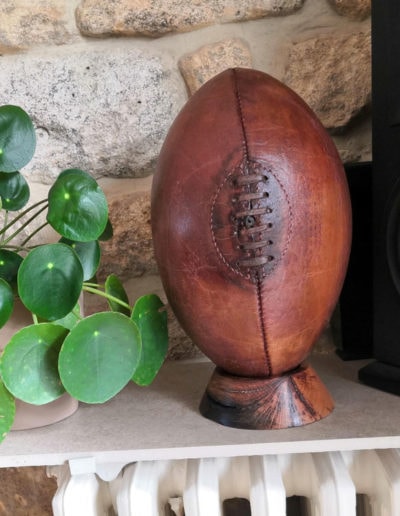 Leather rugby ball presented between a houseplant and a speaker.