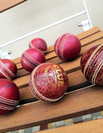 The most beautiful cricket ball highlighted in semi profile