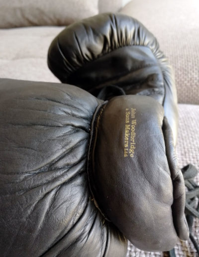 Logo on vintage boxing gloves john Woodbridge