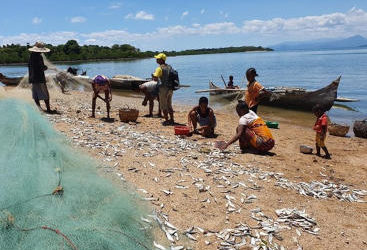 Elaboration des PARAR et analyse des besoins en activités alternatives des pêcheurs affectés par le projet SWIOFish2 – Madagascar