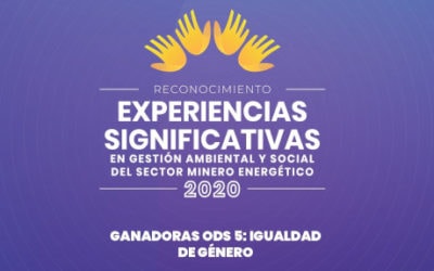 Nous célébrons les meilleures pratiques des entreprises du secteur minier et énergétique en matière d’égalité femmes-hommes, en Colombie
