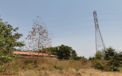 Etudes pour la ligne électrique Maneah-Linsan – Guinée