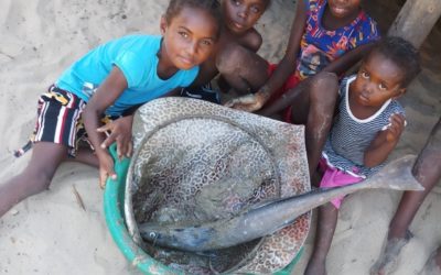 Recherche exploratoire sur les migrations en zone côtière à Madagascar