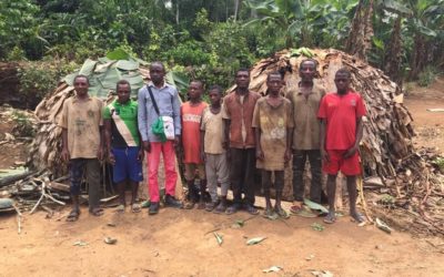 Evaluación de los impactos del programa ETIC de WWF – EIES – República del Congo