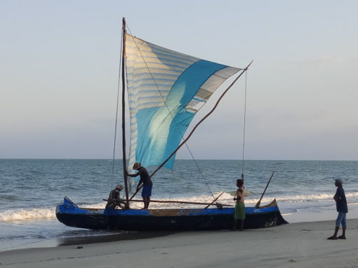 Estudio exploratorio sobre la migración costera en la región de Menabe – Madagascar