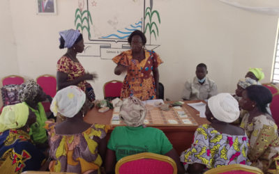 Proyecto REDD+ con el Programa de Inversión Forestal – Burkina Faso