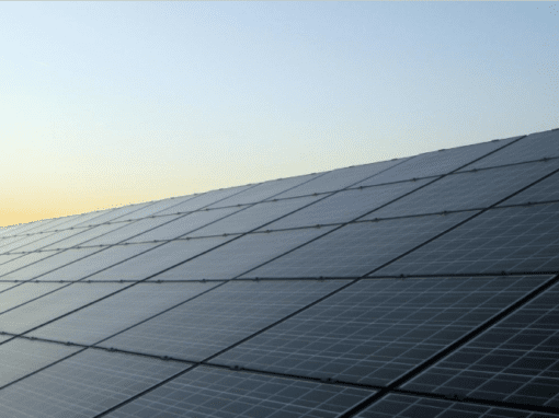 Social baseline of the Grand Bara solar farm project for ERM – Djibouti