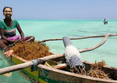 Environmental and Social Impact Assessment for Ocean Farmers – Madagascar