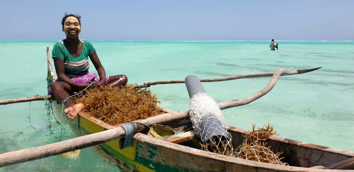Etude d’Impact Environnementale et Sociale pour Ocean Farmers – Madagascar