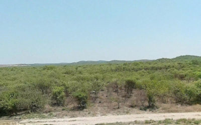 Due Diligence le projet de Central Biomasse d’Otjikoto par NamPower – Namibie