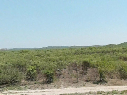 Due Diligence del proyecto de planta de biomasa de Otjikoto por NamPower – Namibia