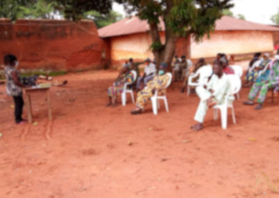 Diligences environnementales et sociales du projet de musée d’Abomey – Bénin