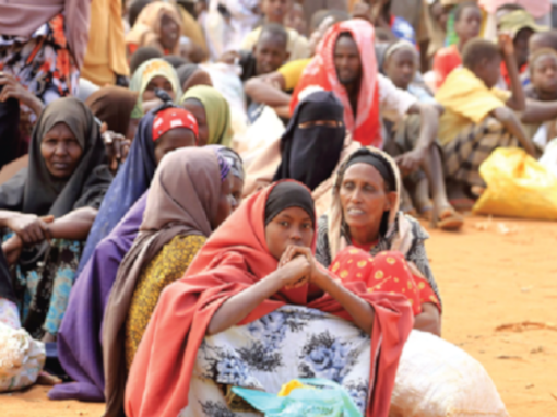 Élaboration d’une étude de diagnostic participatif et rédaction de plans d’action sur la mise en œuvre de la loi nationale sur les réfugiés à Djibouti