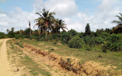 Situación socioeconómica de las personas afectadas por el proyecto de central de biomasa – Costa de Marfil
