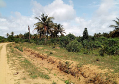 Situation socio-économique des personnes affectées par le projet de centrale de biomasse – Côte d’Ivoire