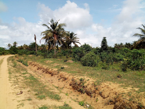 Socio-economic situation of people affected by the biomass plant project – Ivory Coast