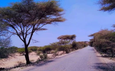 Mise à jour des rapports de cadrage E&S des projets de réhabilitation de la route Burao-Berbera et d’extraction d’eau aquifère de Laasdhure – Somalie
