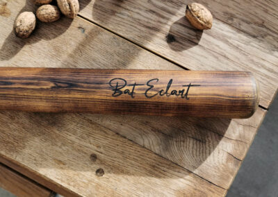 Wooden baseball bat with name