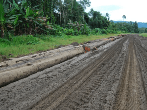 Evaluation de la réduction de l’emprise du « Projet LNG – PNG » de TotalEnergies – Papouasie Nouvelle Guinée