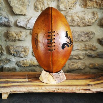 Ballon de rugby du XV de France