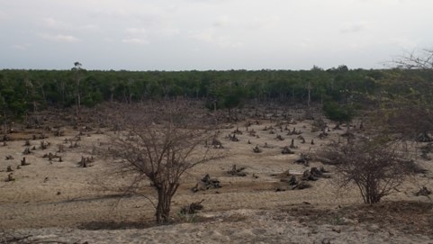 Etude d’opportunité « justice environnementale et justice climatique » – Madagascar
